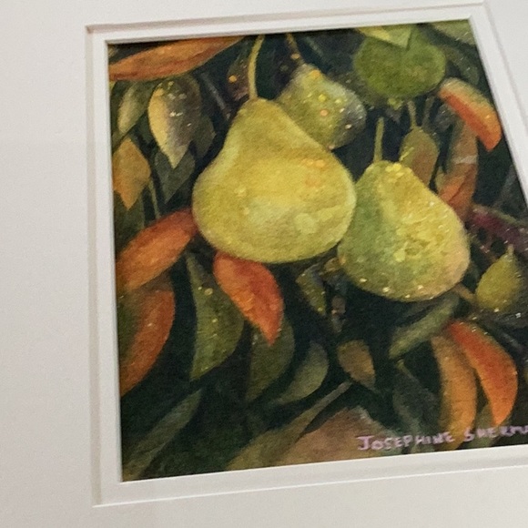 Original watercolour pears painting, matted 10x12” - Picture 2 of 3